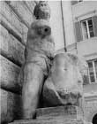 pasquino