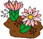 Piante e Fiori